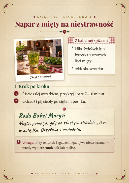 Strona z księgi IV – podgląd