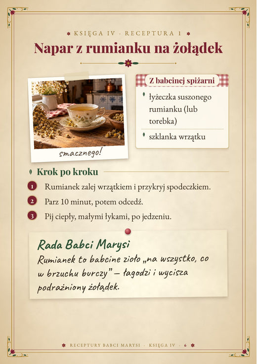 Strona z księgi IV – podgląd